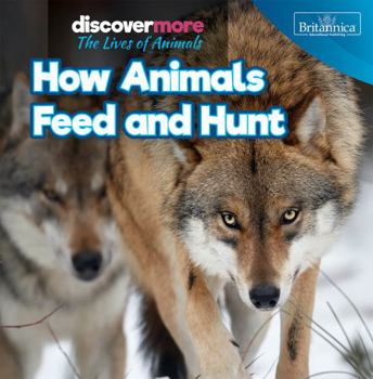 Paperback How Animals Feed and Hunt Book