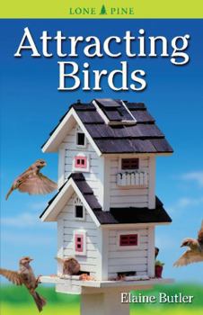 Paperback Attracting Birds Book
