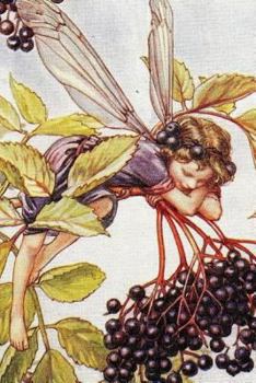 Paperback Journal: The Elderberry Fairy by Cicely Mary Barker Book