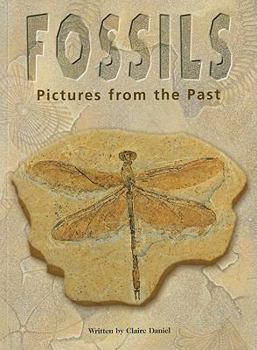 Steck-Vaughn Pair-It Books Proficiency Stage 5: Leveled Reader Fossils: Pictures From The Past , Nonfiction Story Book