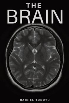 Paperback The Brain Book