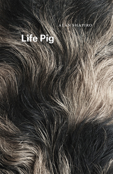 Paperback Life Pig Book