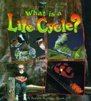 School & Library Binding What Is a Life Cycle? Book