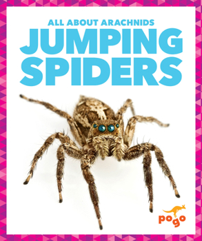 Library Binding Jumping Spiders Book