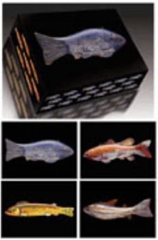 Hardcover American Fish Decoy Note Cards #4 Book