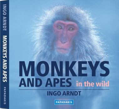 Hardcover Monkeys and Apes in the Wild Book