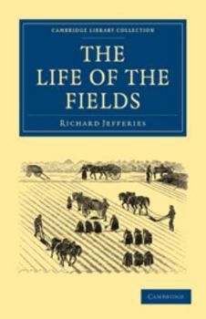 Electronics The Life of the Fields Book