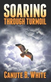 Paperback Soaring Through Turmoil Book