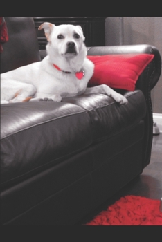 Paperback Teddy Knows: John and Katrica meets Zeus Book