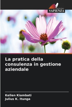 La pratica della consulenza in gestione aziendale (Italian Edition)