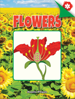 Paperback Flowers Book