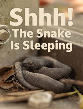 Shhh! the Snake Is Sleeping