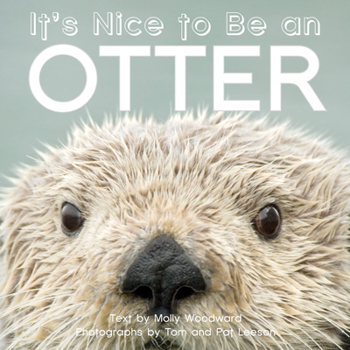 Board book It's Nice to Be an Otter Book