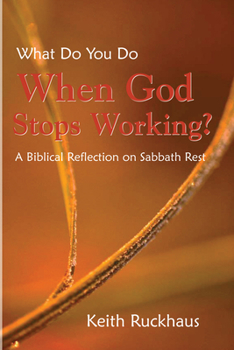 Paperback When God Stops Working: A Biblical Reflection on Sabbath Rest Book