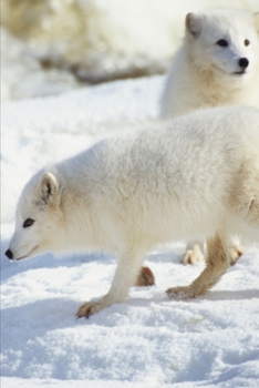 2020 Weekly Planner Winter Theme Bears 134 Pages: 2020 Planners Calendars Organizers Datebooks Appointment Books Agendas