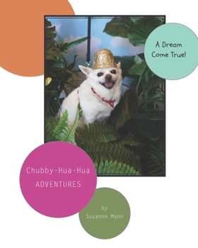 Paperback A Dream Come True Book