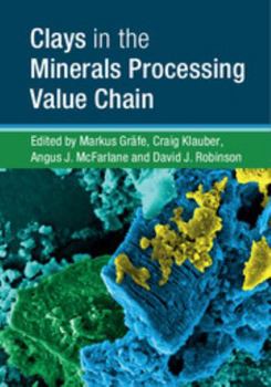 Hardcover Clays in the Minerals Processing Value Chain Book