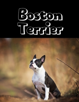 Boston Terrier: Large College Ruled Notebook - Perfect Gift for Bostie Moms Dads Owner Lovers