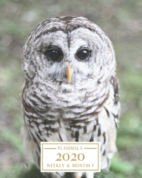 Paperback 2020: Weekly and Monthly Planner/Calendar Jan 2020 - Dec 2020 Pretty Snow Owl Book