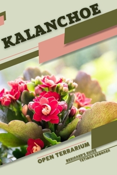 Paperback Kalanchoe: Open terrarium, Beginner's Guide Book