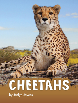 Hardcover Cheetahs Book