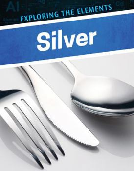 Library Binding Silver Book