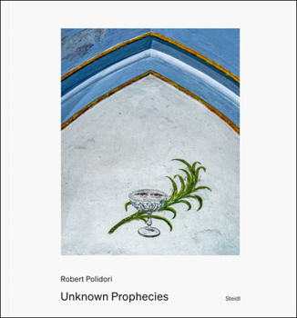 Hardcover Robert Polidori: Unknown Prophecies Book