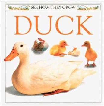 Paperback See How They Grow: Duck Book