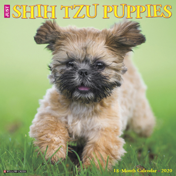 Calendar Just Shih Tzu Puppies 2020 Wall Calendar (Dog Breed Calendar) Book