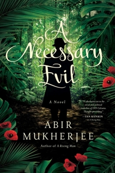 Hardcover A Necessary Evil Book