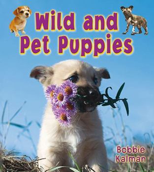 Paperback Wild and Pet Puppies Book