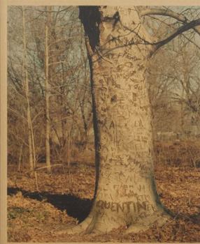 Paperback Scott Rossi, Common Place Book