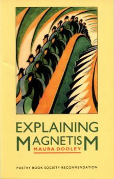 Paperback Explaining Magnetism Book
