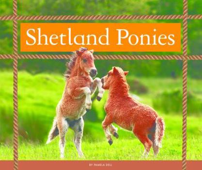 Library Binding Shetland Ponies Book