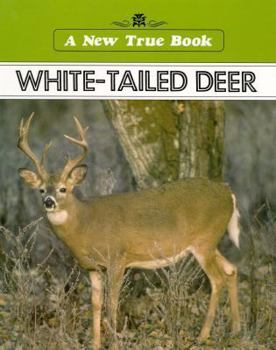 Library Binding White-Tailed Deer Book