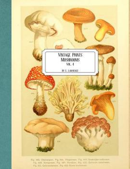 Paperback Vintage Prints: Mushrooms: Vol. 4 Book