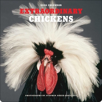Calendar Extraordinary Chickens 2026 Wall Calendar Book