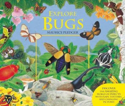 Hardcover Explore: Bugs Book