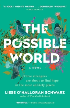 Paperback The Possible World Book