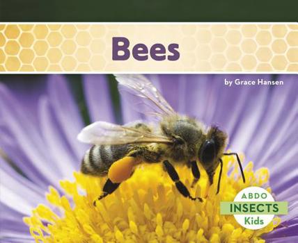 Bees - Book  of the Insects