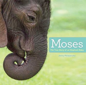 Hardcover Moses: The True Story of an Elephant Baby Book