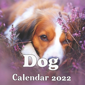 Dog Calendar 2022: Calendar, 16 Months