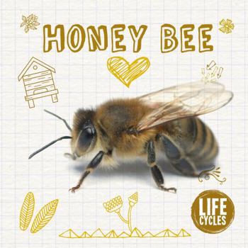 Hardcover Honey Bee Book