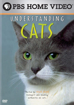 DVD Understanding Cats Book