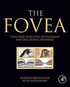 Paperback The Fovea: Structure, Function, Development, and Tractional Disorders Book