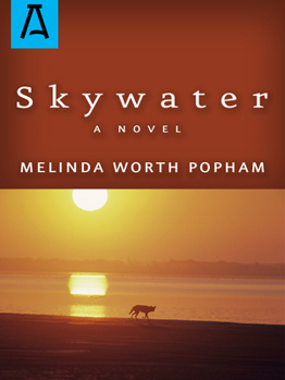 Paperback Skywater Book