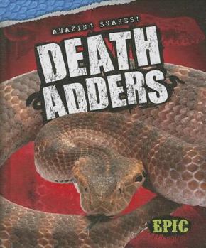 Death Adders - Book  of the Amazing Snakes!
