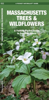 Pamphlet Massachusetts Trees & Wildflowers: A Folding Pocket Guide to Familiar Plants Book