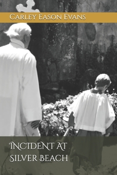 Paperback Silver Beach Book