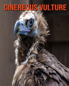 Cinereous vulture: Beautiful Pictures & Interesting Facts Children Book About Cinereous vulture